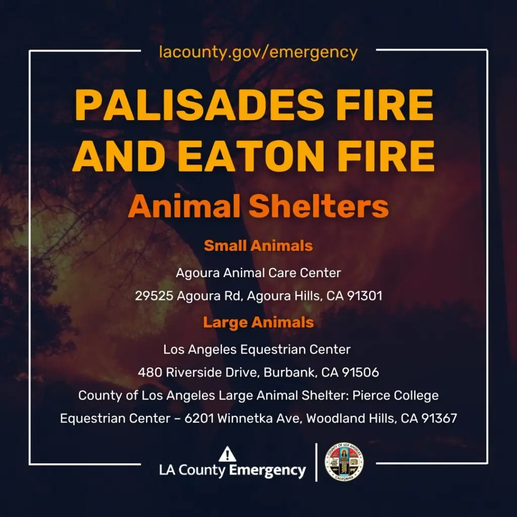 Pacific Palisades Fire