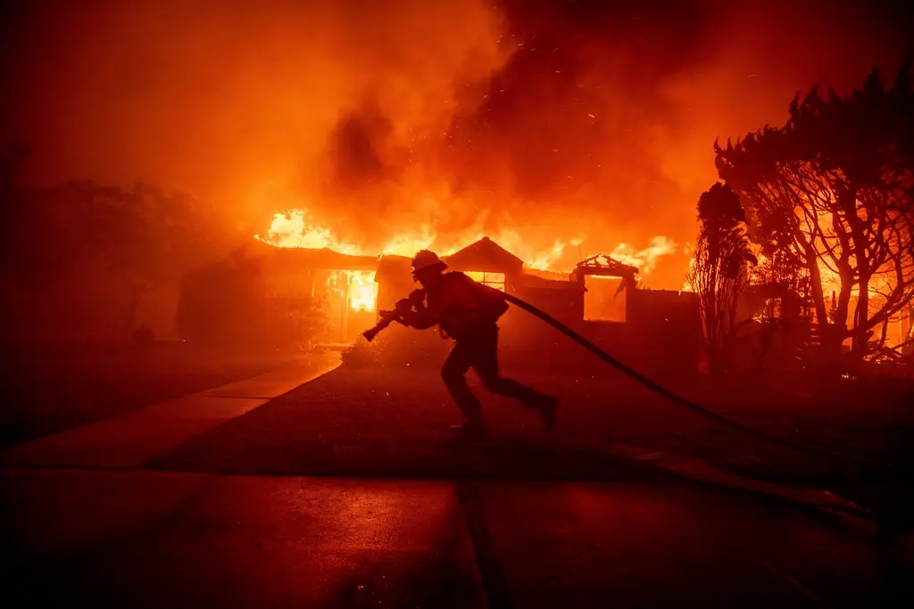 Pacific Palisades Fire