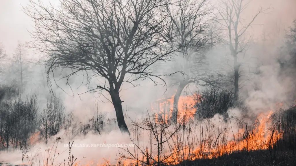 Wildfires Smoke