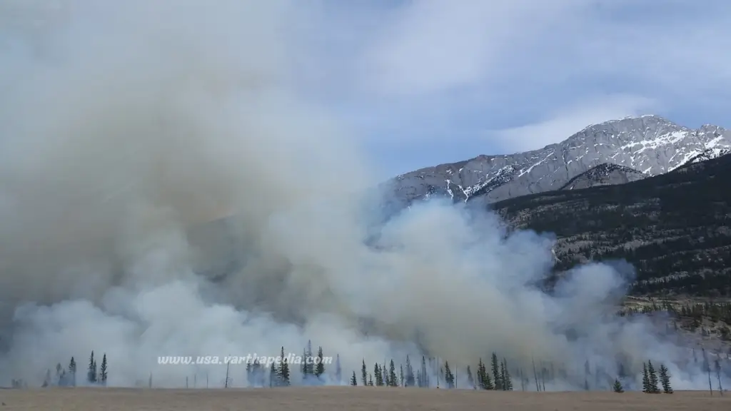 Wildfires Smoke
